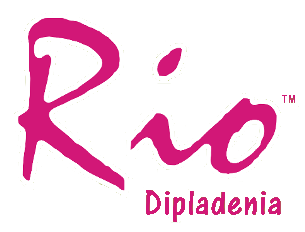 RIO Logo